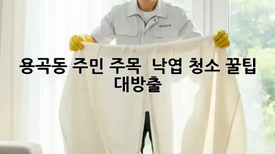 용곡동 주민 주목! 🍂 낙엽 청소 꿀팁 대방출!