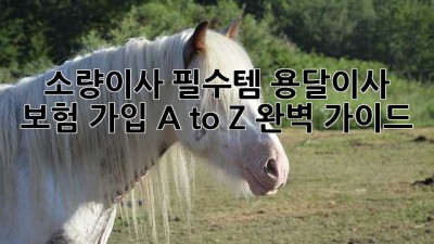 소량이사 필수템! 용달이사 보험 가입 A to Z 완벽 가이드 📦🛡️