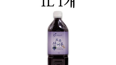 탐나는 머루생과 할인 정보 놓치지 마세요! 🥰